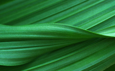 Press Release: Noom Announces Enterprise Offering