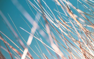 Introducing Enhanced Flexibility & Safety Updates