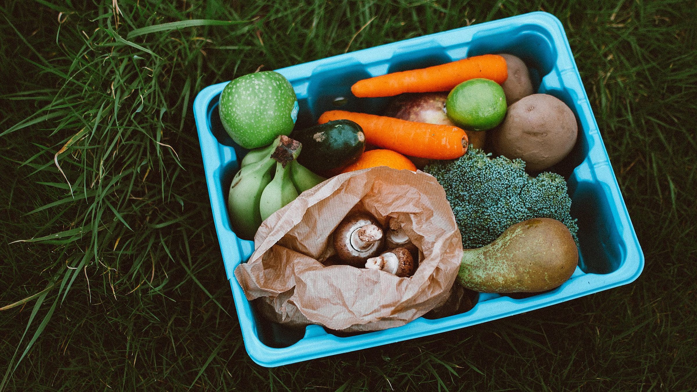 best foods for weight loss